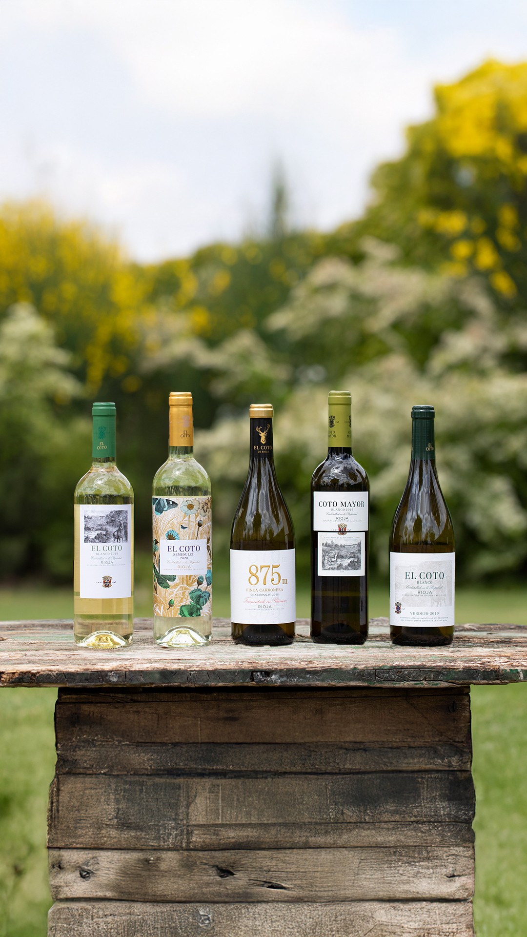 Vinos blancos de El Coto de Rioja